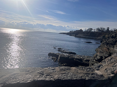 Individual Relationship Counseling