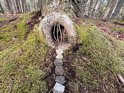 Therapy for Depression